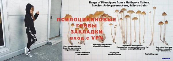 a pvp Новокубанск