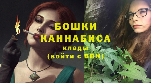 мдпв Семилуки
