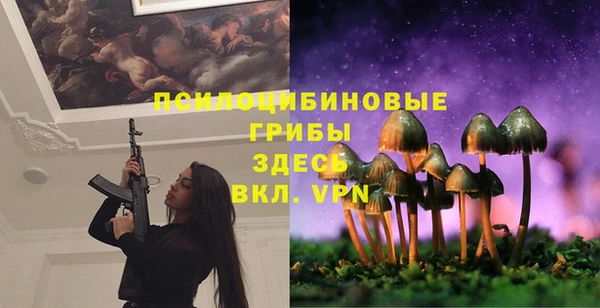 стаф Нягань