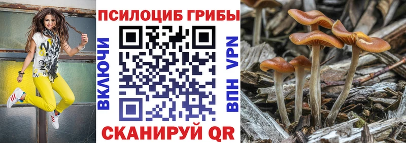 купить  сайты  Микунь  Галлюциногенные грибы мухоморы 